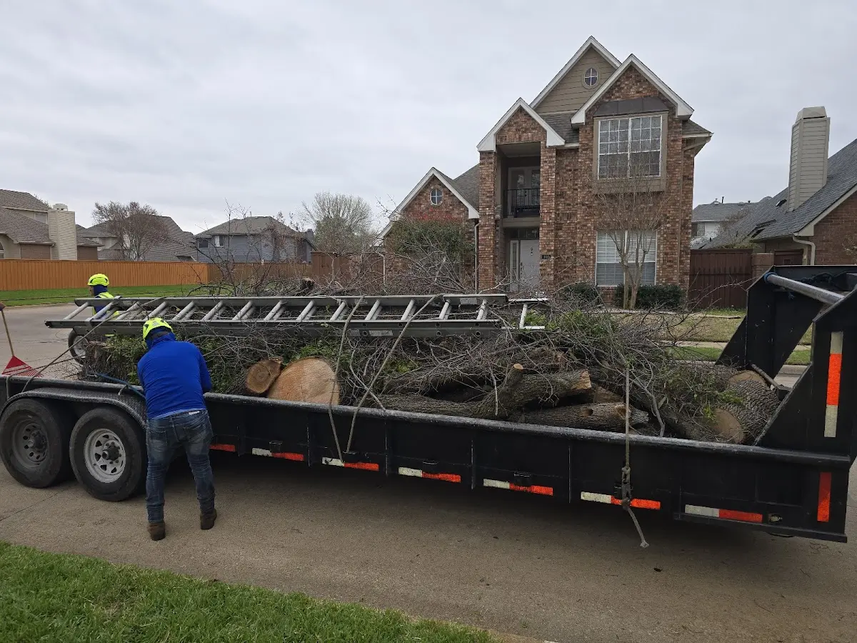 Expert Tree Fertilization with proper safety equipment in Port Jefferson Station